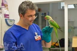 Dr.Bandac Vlad Alexandru Medic Veterinar003