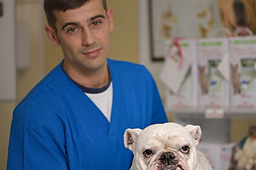 Dr. Popa Radu Medic Veterinar002