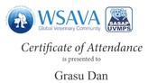 WSAVA Feline Medicine Day.2013